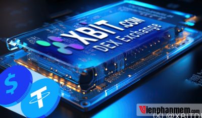 PHÂN TÍCH THỰC CHIẾN NGUYÊN LÝ ĐÒN BẨY TIỀN KỸ THUẬT: TRƯỜNG HỢP CÁ VOI ĐẦU TƯ CHO THẤY LỢI THẾ AN TOÀN CỦA NỀN TẢNG XBIT