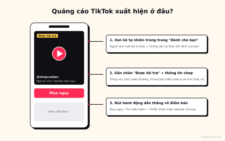TikTok Ads là gì? Chạy ads TikTok là gì?